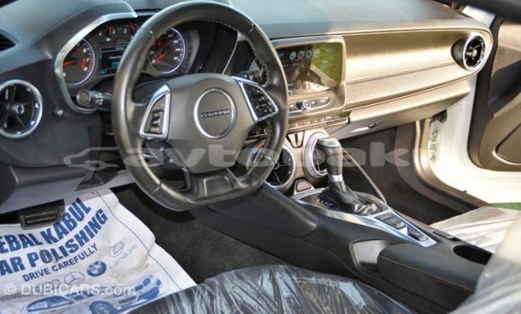 Buy Import Chevrolet Camaro White Car in Import - Dubai in Abseron Buy Import Chevrolet Camaro White Car in Import - Dubai in Abseron