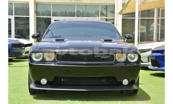 Buy Import Dodge Challenger Black Car in Import - Dubai in Abseron