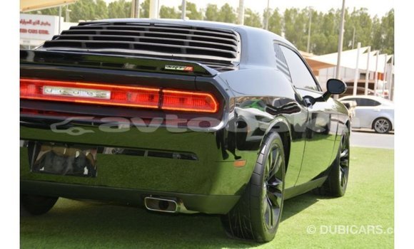 Buy Import Dodge Challenger Black Car in Import - Dubai in Abseron Buy Import Dodge Challenger Black Car in Import - Dubai in Abseron
