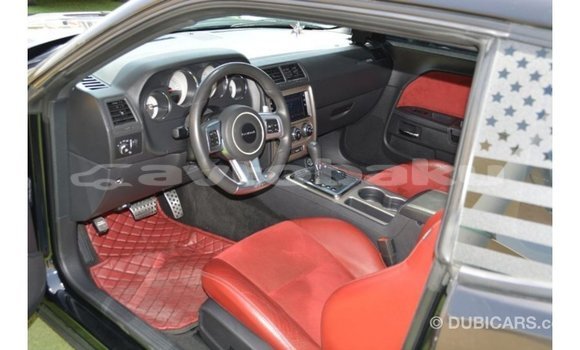 Buy Import Dodge Challenger Black Car in Import - Dubai in Abseron Buy Import Dodge Challenger Black Car in Import - Dubai in Abseron