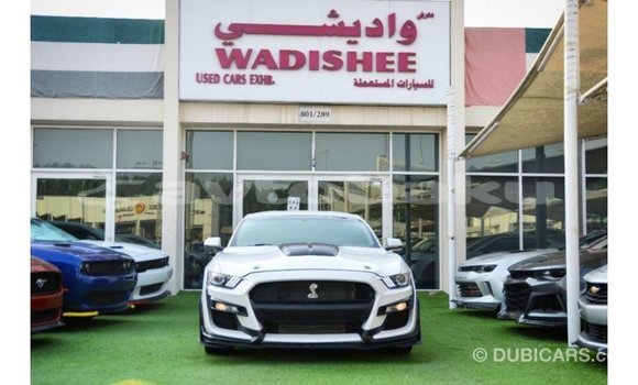 Buy Import Ford Mustang White Car in Import - Dubai in Abseron Buy Import Ford Mustang White Car in Import - Dubai in Abseron