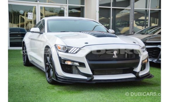 Buy Import Ford Mustang White Car in Import - Dubai in Abseron Buy Import Ford Mustang White Car in Import - Dubai in Abseron