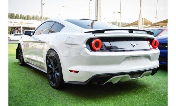 Buy Import Ford Mustang White Car in Import - Dubai in Abseron Buy Import Ford Mustang White Car in Import - Dubai in Abseron