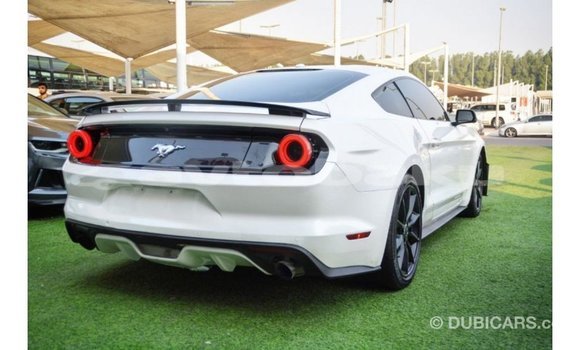 Buy Import Ford Mustang White Car in Import - Dubai in Abseron Buy Import Ford Mustang White Car in Import - Dubai in Abseron