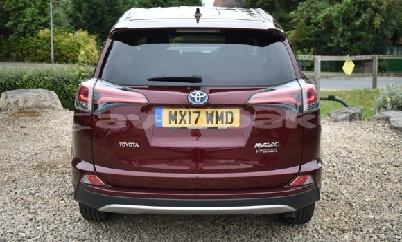 Buy Used Toyota RAV4 Other Car in Agcabadi in Mil-Qarabax Buy Used Toyota RAV4 Other Car in Agcabadi in Mil-Qarabax