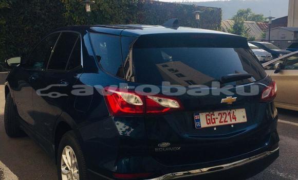 Buy Import Chevrolet Equinox Blue Car in Baki in Abseron