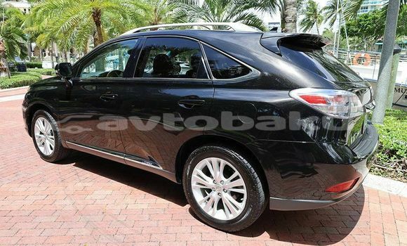 Buy Import Lexus RX Black Car in Agdas in Sirvan