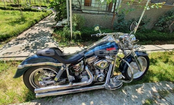 Buy Used Big Dog Pitbull Blue Bike in Baki in Abseron Buy Used Big Dog Pitbull Blue Bike in Baki in Abseron