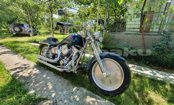 Buy Used Big Dog Pitbull Blue Bike in Baki in Abseron Buy Used Big Dog Pitbull Blue Bike in Baki in Abseron