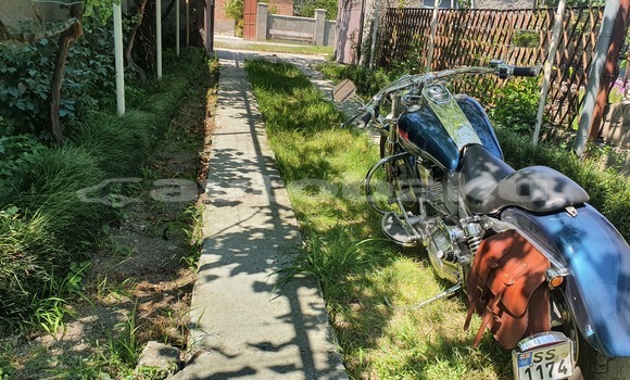 Buy Used Big Dog Pitbull Blue Bike in Baki in Abseron Buy Used Big Dog Pitbull Blue Bike in Baki in Abseron