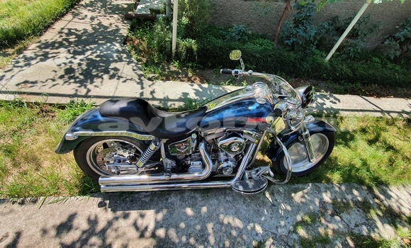 Buy Used Big Dog Pitbull Blue Bike in Baki in Abseron Buy Used Big Dog Pitbull Blue Bike in Baki in Abseron