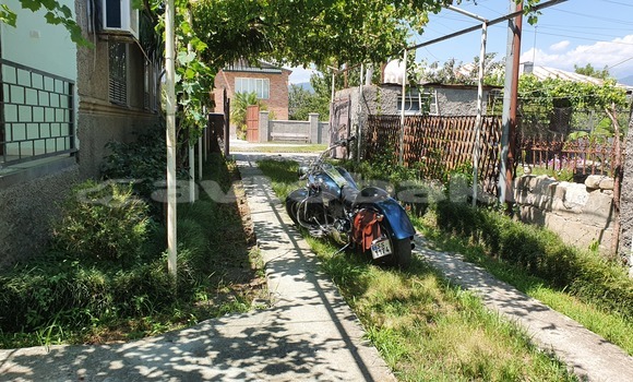 Buy Used Big Dog Pitbull Blue Bike in Baki in Abseron Buy Used Big Dog Pitbull Blue Bike in Baki in Abseron