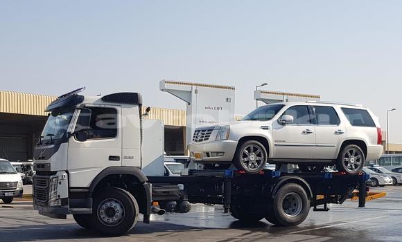 Buy New Iveco Cargo White Truck in Baki in Abseron Buy New Iveco Cargo White Truck in Baki in Abseron