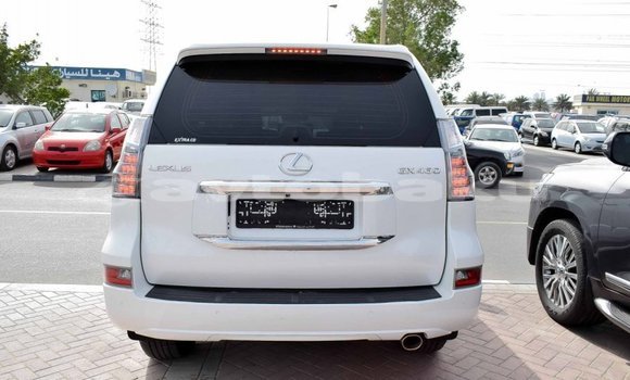 Buy Import Lexus GX White Car in Import - Dubai in Abseron Buy Import Lexus GX White Car in Import - Dubai in Abseron