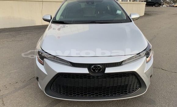 Buy Used Toyota Corolla Silver Car in Alat in Abseron Buy Used Toyota Corolla Silver Car in Alat in Abseron