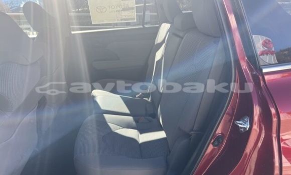 Buy New Toyota Highlander Red Car in Alat in Abseron Buy New Toyota Highlander Red Car in Alat in Abseron