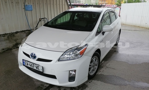 Buy Used Toyota Prius White Car in Qazax in Qazax