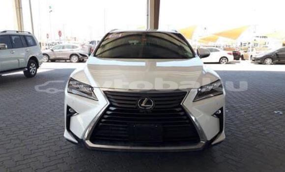 Buy Used Lexus RX 350 White Car in Ali Bayramli in Mugan-Salyan