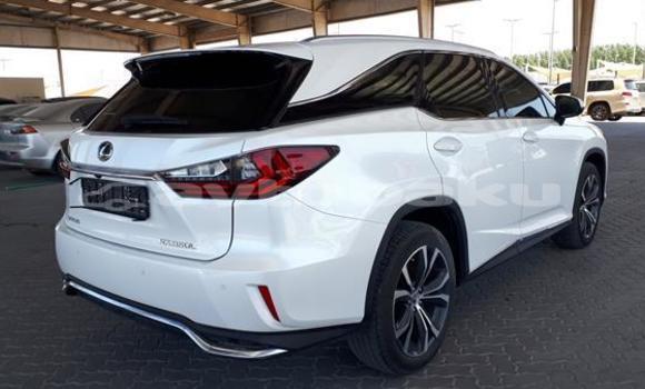 Buy Used Lexus RX 350 White Car in Ali Bayramli in Mugan-Salyan Buy Used Lexus RX 350 White Car in Ali Bayramli in Mugan-Salyan