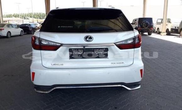 Buy Used Lexus RX 350 White Car in Ali Bayramli in Mugan-Salyan Buy Used Lexus RX 350 White Car in Ali Bayramli in Mugan-Salyan