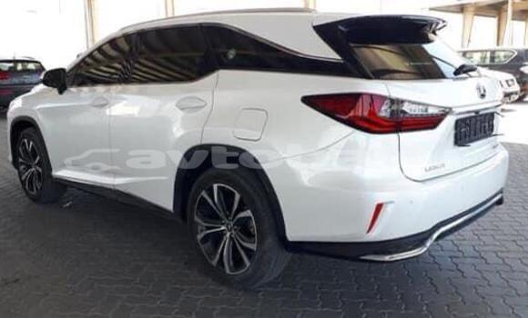 Buy Used Lexus RX 350 White Car in Ali Bayramli in Mugan-Salyan Buy Used Lexus RX 350 White Car in Ali Bayramli in Mugan-Salyan