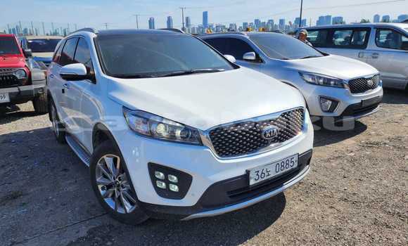 Buy Used Kia Sorento White Car in Baki in Abseron