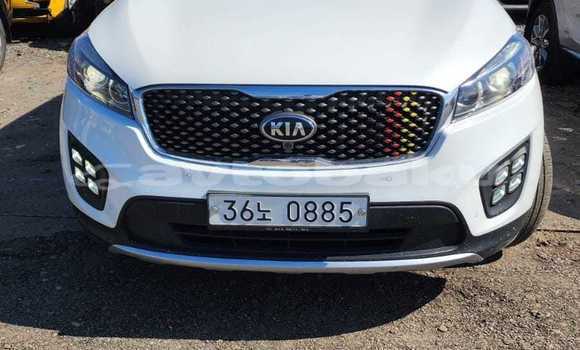 Buy Used Kia Sorento White Car in Baki in Abseron Buy Used Kia Sorento White Car in Baki in Abseron