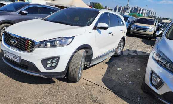 Buy Used Kia Sorento White Car in Baki in Abseron Buy Used Kia Sorento White Car in Baki in Abseron