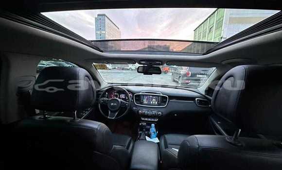 Buy Used Kia Sorento Black Car in Baki in Abseron