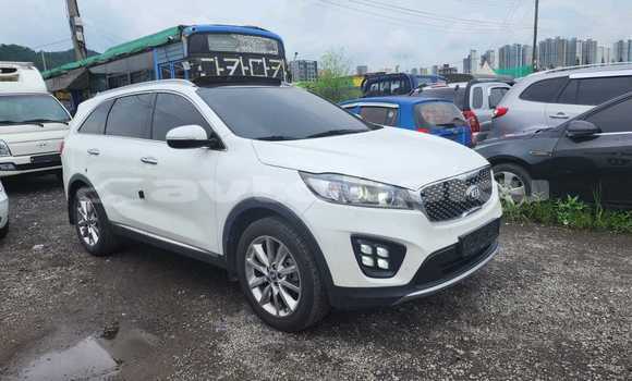 Buy Used Kia Sorento White Car in Baki in Abseron Buy Used Kia Sorento White Car in Baki in Abseron