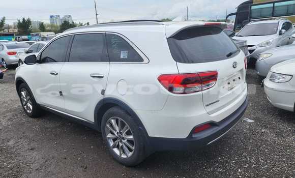 Buy Used Kia Sorento White Car in Baki in Abseron Buy Used Kia Sorento White Car in Baki in Abseron