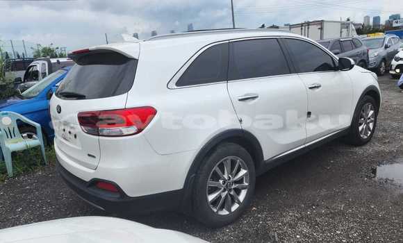 Buy Used Kia Sorento White Car in Baki in Abseron Buy Used Kia Sorento White Car in Baki in Abseron
