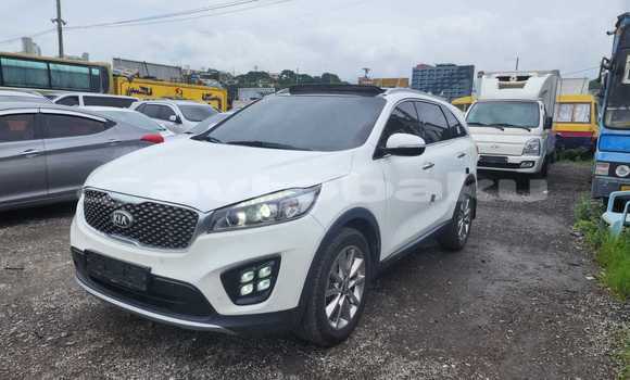 Buy Used Kia Sorento White Car in Baki in Abseron Buy Used Kia Sorento White Car in Baki in Abseron
