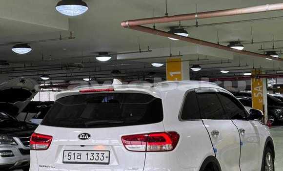 Buy Used Kia Sorento White Car in Baki in Abseron Buy Used Kia Sorento White Car in Baki in Abseron