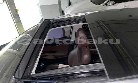 Buy Used Kia Sorento White Car in Baki in Abseron Buy Used Kia Sorento White Car in Baki in Abseron