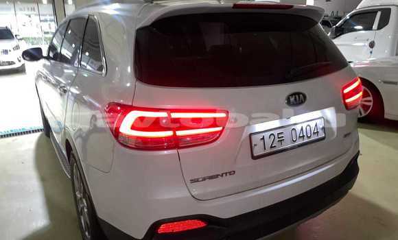 Buy Used Kia Sorento White Car in Baki in Abseron Buy Used Kia Sorento White Car in Baki in Abseron