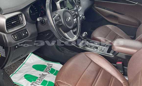Buy Used Kia Sorento Other Car in Baki in Abseron Buy Used Kia Sorento Other Car in Baki in Abseron