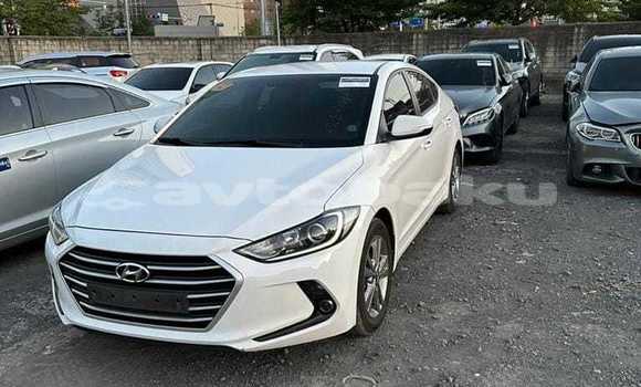 Buy Used Hyundai Avante White Car in Baki in Abseron Buy Used Hyundai Avante White Car in Baki in Abseron