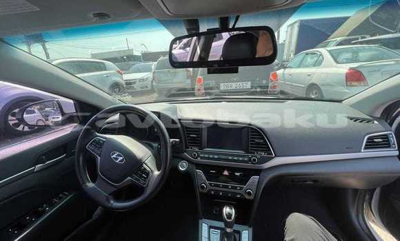 Buy Used Hyundai Avante White Car in Baki in Abseron Buy Used Hyundai Avante White Car in Baki in Abseron