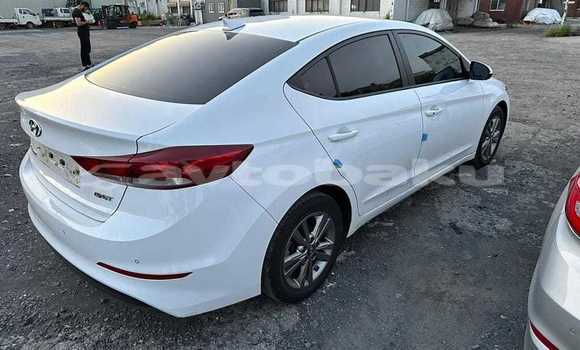 Buy Used Hyundai Avante White Car in Baki in Abseron Buy Used Hyundai Avante White Car in Baki in Abseron