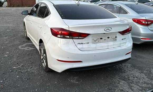 Buy Used Hyundai Avante White Car in Baki in Abseron Buy Used Hyundai Avante White Car in Baki in Abseron