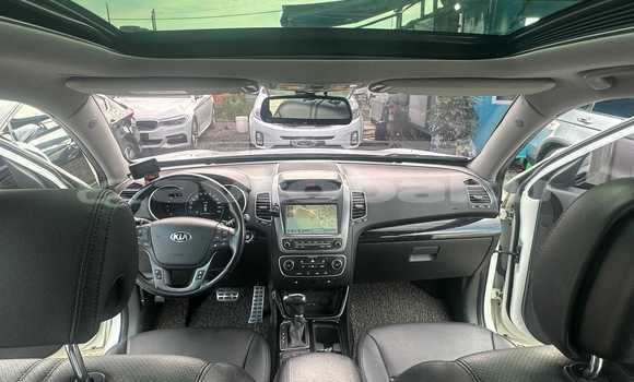 Buy Used Kia Cee'd GT White Car in Baki in Abseron Buy Used Kia Cee'd GT White Car in Baki in Abseron