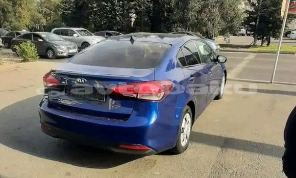Buy Used Kia Cerato Blue Car in Baki in Abseron
