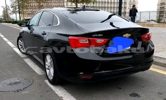 Buy Used Chevrolet Malibu Black Car in Baki in Abseron
