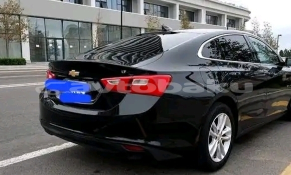 Buy Used Chevrolet Malibu Black Car in Baki in Abseron Buy Used Chevrolet Malibu Black Car in Baki in Abseron