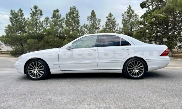 Buy Used Mercedes-Benz S–Class White Car in Baki in Abseron
