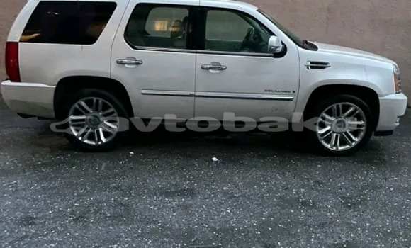 Buy Used Cadillac Escalade White Car in Agsu in Sirvan Buy Used Cadillac Escalade White Car in Agsu in Sirvan
