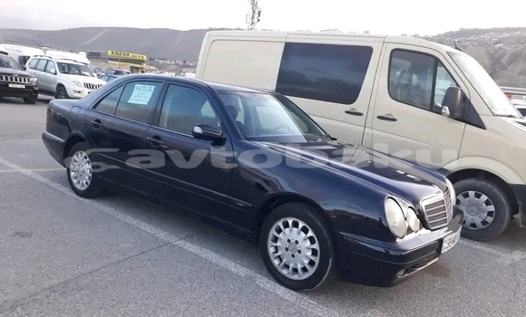 Buy Used FORD MUSTANG Black Car in Alat in Abseron Buy Used FORD MUSTANG Black Car in Alat in Abseron