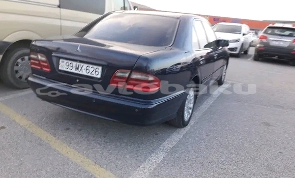 Buy Used FORD MUSTANG Black Car in Alat in Abseron Buy Used FORD MUSTANG Black Car in Alat in Abseron