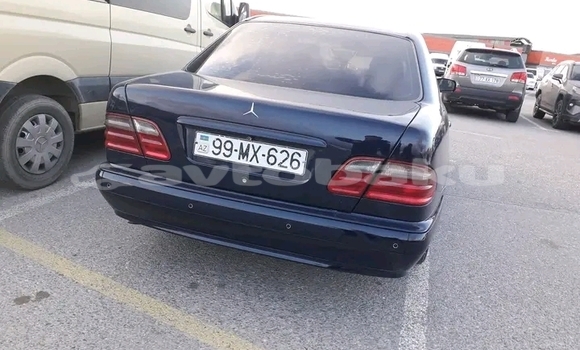 Buy Used FORD MUSTANG Black Car in Alat in Abseron Buy Used FORD MUSTANG Black Car in Alat in Abseron